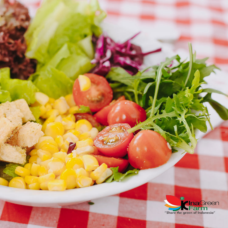 Salad