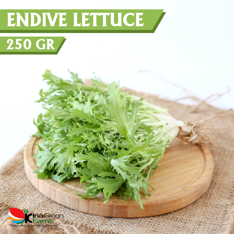 Inagreen Farm Bandung Sayur Endive Lettuce Organik 250 Gram