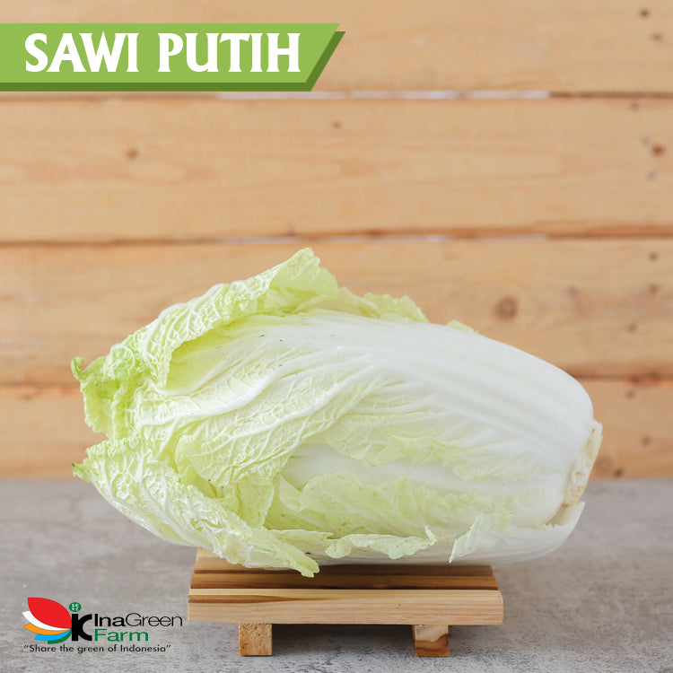 Inagreen Farm Bandung Sayur Sawi Putih / Pecai Segar