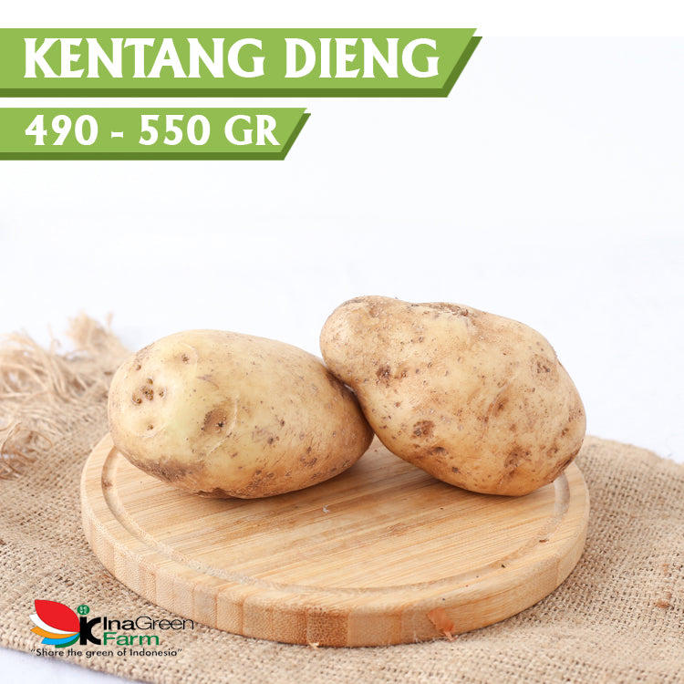 Inagreen Farm Bandung Kentang Dieng