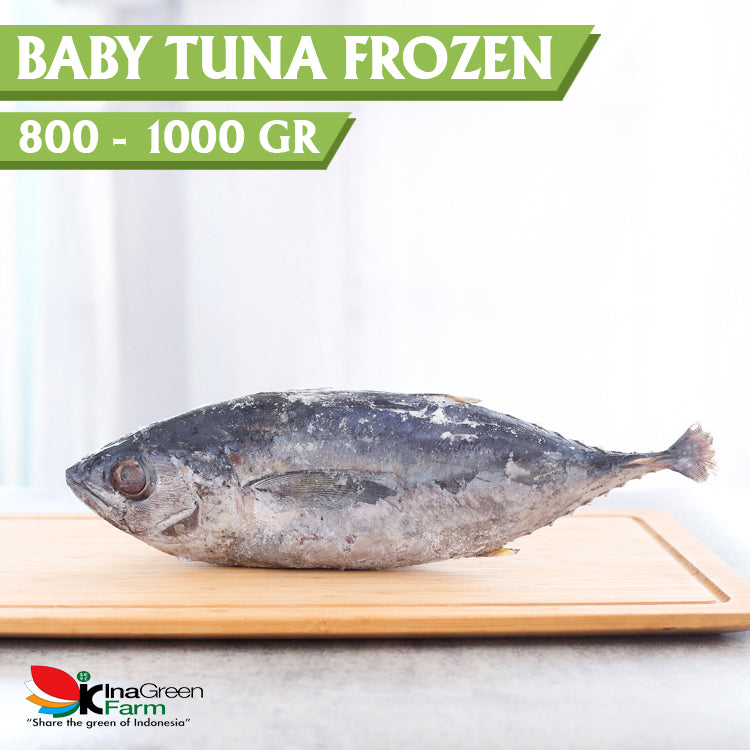 Inagreen Farm Bandung Ikan Baby Tuna Frozen