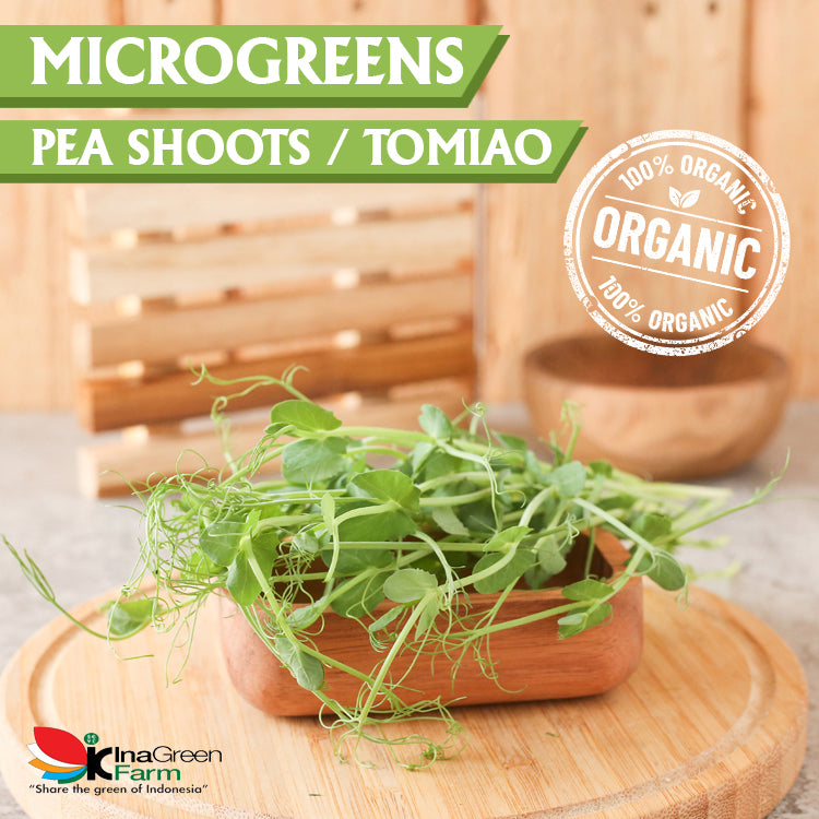 Inagreen Farm Bandung Microgreen Organik Pea Shoot