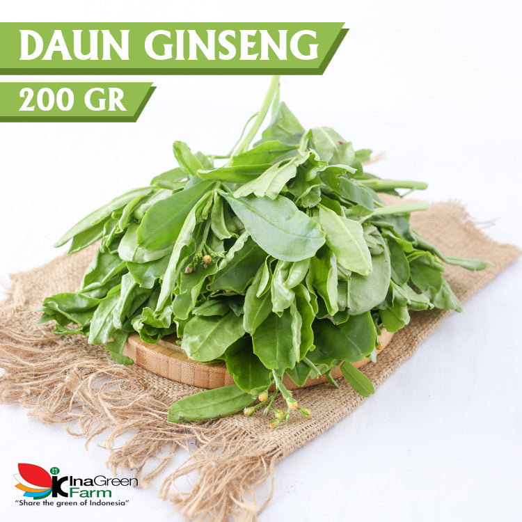 Inagreen Farm Bandung Daun Ginseng Fresh 200 Gram