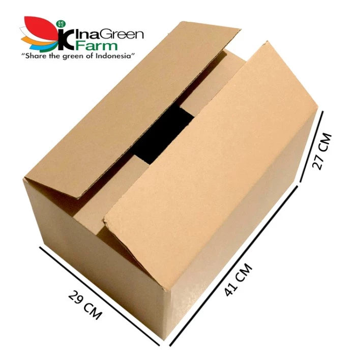 Inagreen Farm Bandung Kardus Packing Sayuran