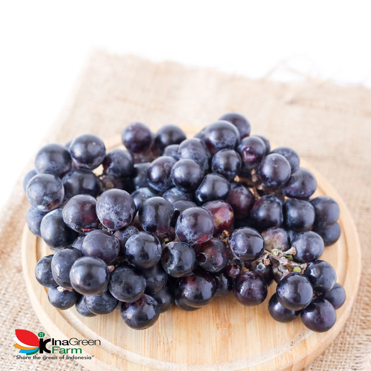 Inagreen Farm Bandung Buah Anggur