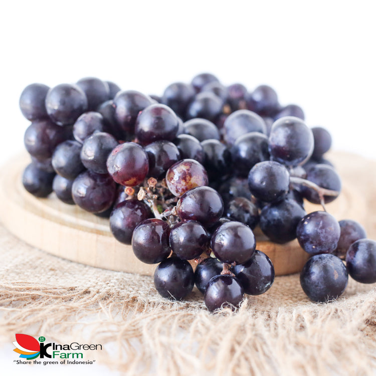 Inagreen Farm Bandung Buah Anggur