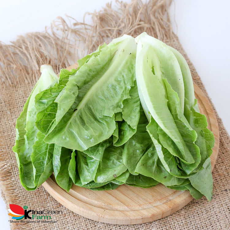 Inagreen Farm Bandung Sayur Romaine Lettuce Organik 250 Gram