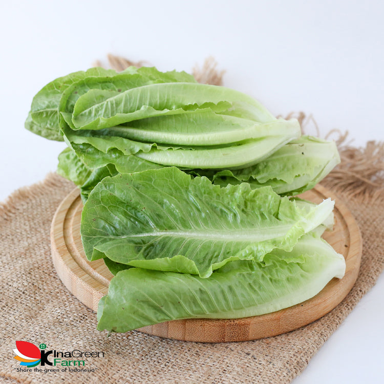 Inagreen Farm Bandung Sayur Romaine Lettuce Organik 250 Gram