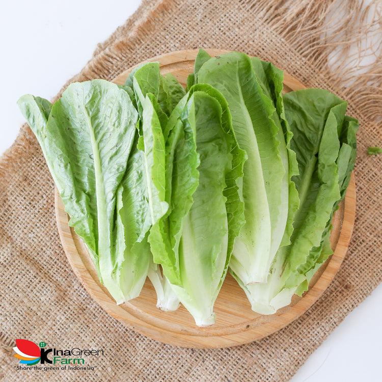 Inagreen Farm Bandung Sayur Romaine Lettuce Organik 250 Gram