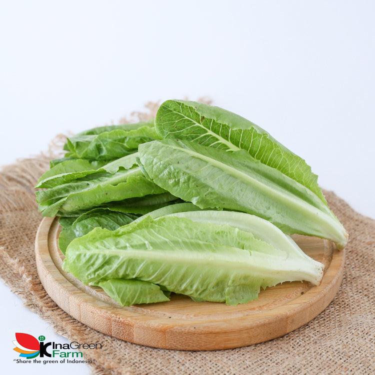 Inagreen Farm Bandung Sayur Romaine Lettuce Organik 250 Gram