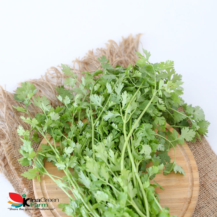 Inagreen Farm Bandung Wansui Coriander Organik 100 Gram