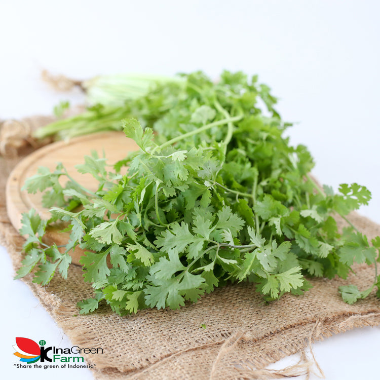 Inagreen Farm Bandung Wansui Coriander Organik 100 Gram