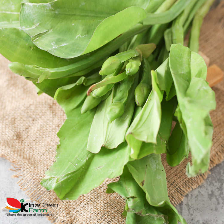 Sayur Genjer Inagreen Farm Bandung