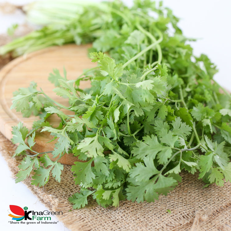 Inagreen Farm Bandung Wansui Coriander Organik 100 Gram