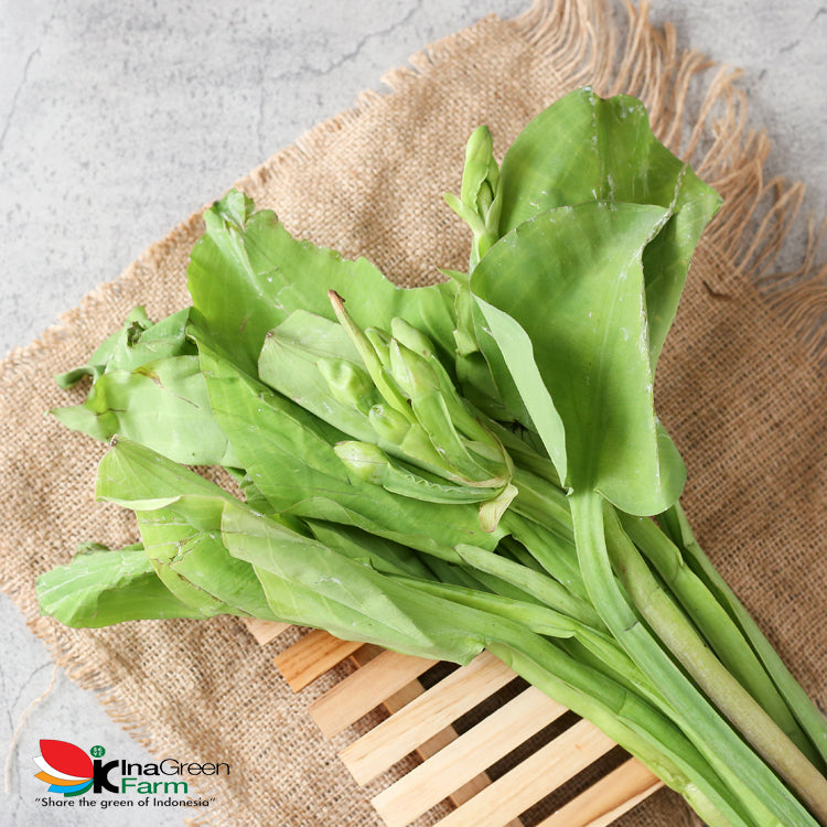 Sayur Genjer Inagreen Farm Bandung