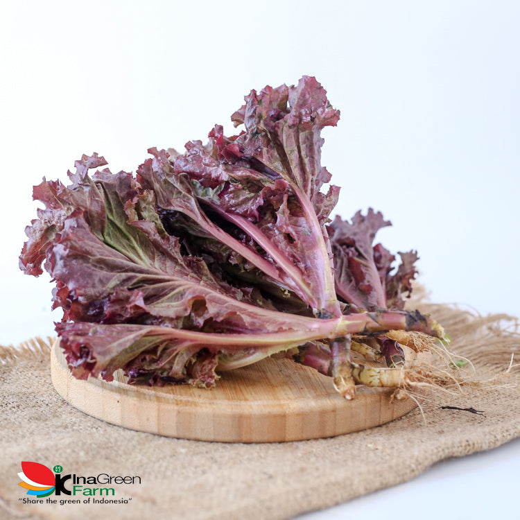 Inagreen Farm Bandung Sayur Selada Lolorosa Organik 250 Gram