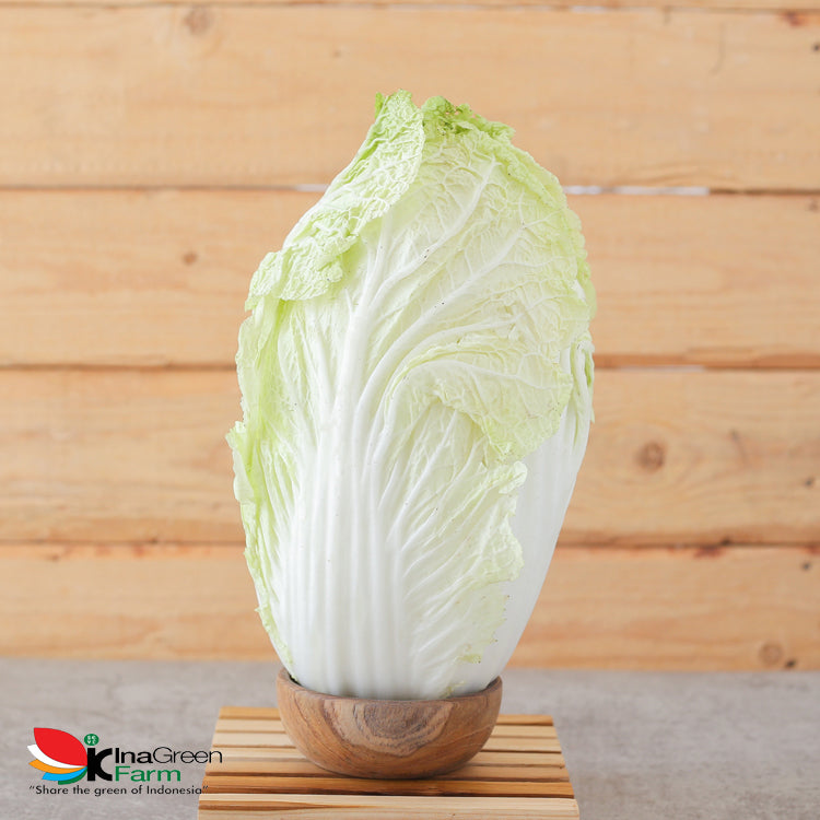 Inagreen Farm Bandung Sayur Sawi Putih / Pecai Segar