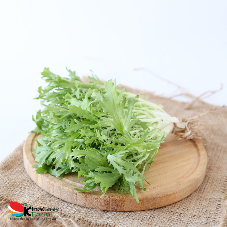 Inagreen Farm Bandung Sayur Endive Lettuce Organik 250 Gram
