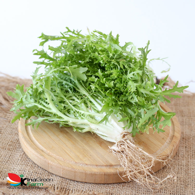 Inagreen Farm Bandung Sayur Endive Lettuce Organik 250 Gram