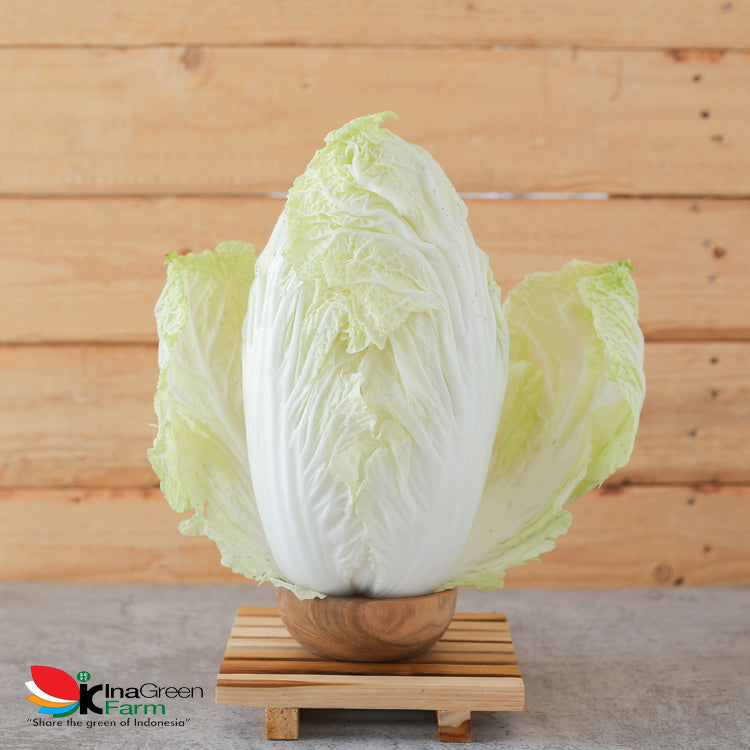 Inagreen Farm Bandung Sayur Sawi Putih / Pecai Segar
