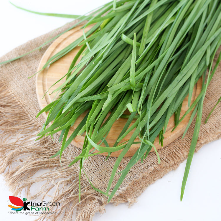 Inagreen Farm Bandung Sayur Kucai Organik 250 Gram
