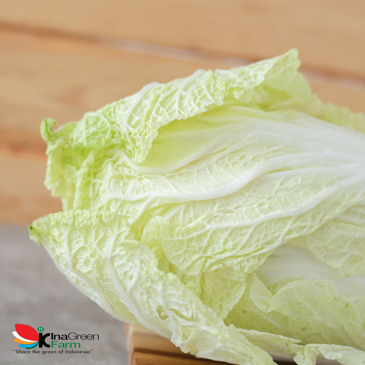 Inagreen Farm Bandung Sayur Sawi Putih / Pecai Segar