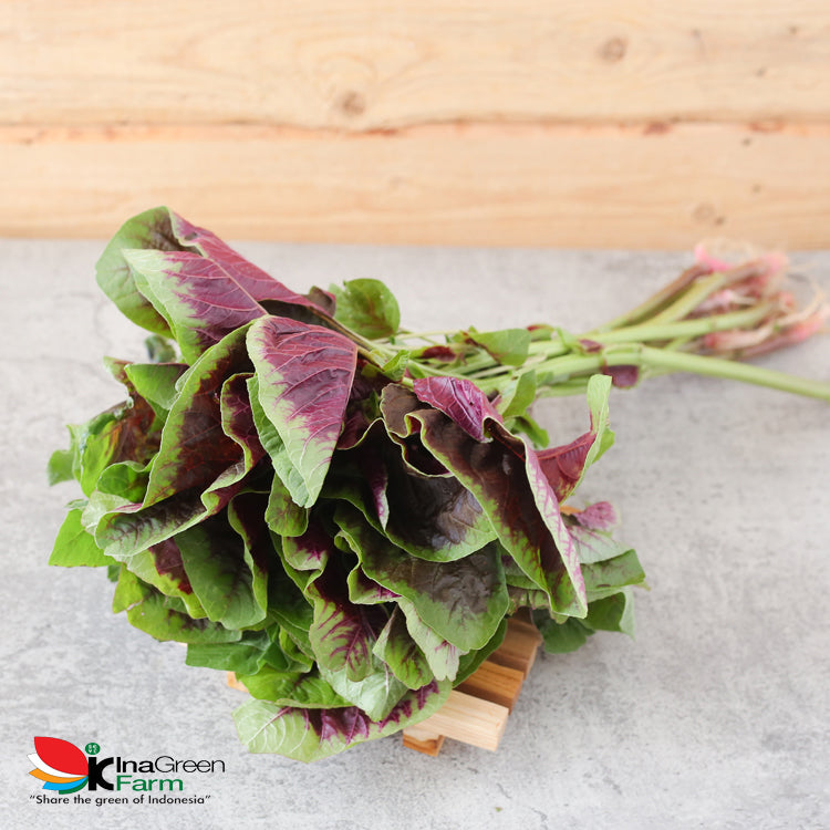 Inagreen Farm Bandung Sayur Bayam Batik Organik 50 Gram