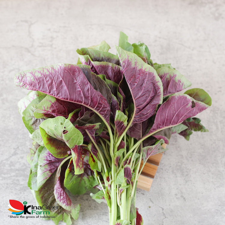 Inagreen Farm Bandung Sayur Bayam Batik Organik 50 Gram