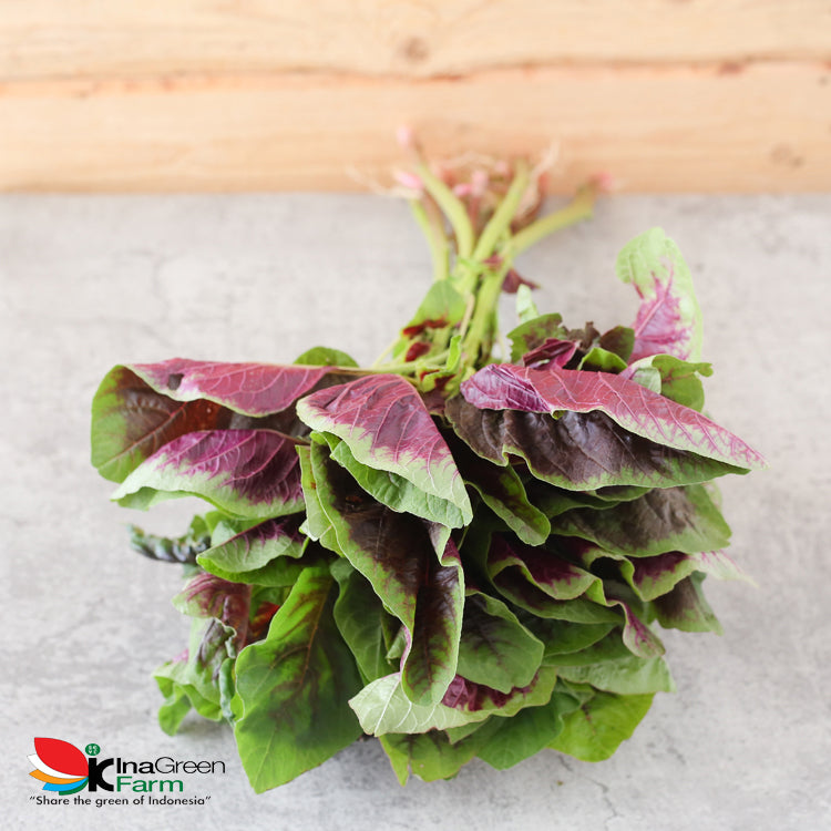 Inagreen Farm Bandung Sayur Bayam Batik Organik 50 Gram