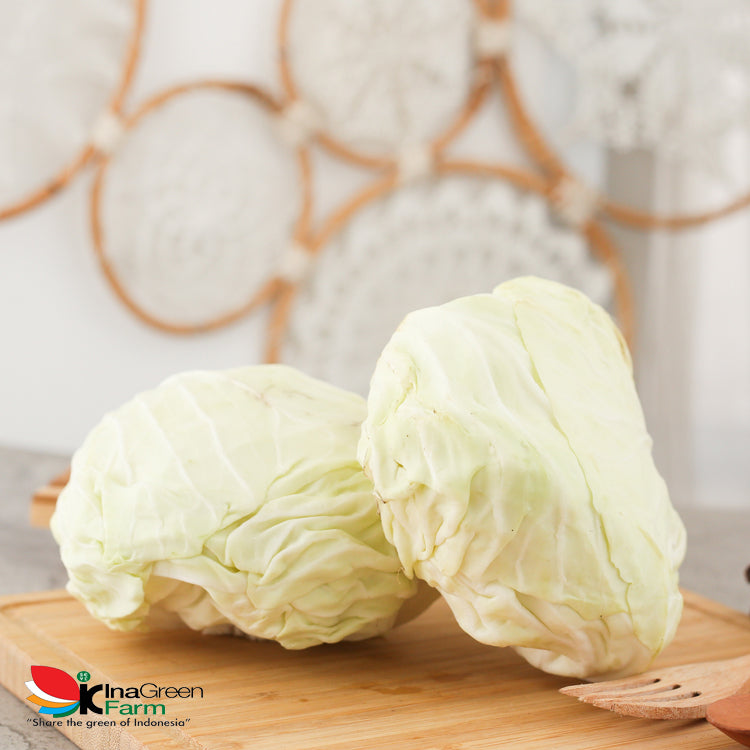 Inagreen Farm Bandung Sayur Kol Putih Segar