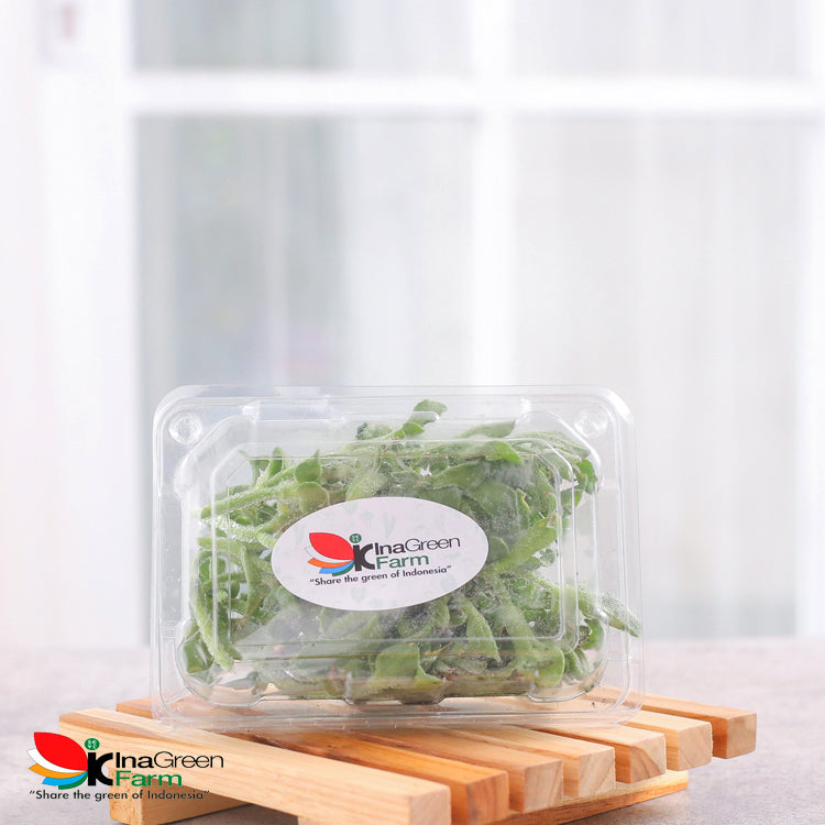 Inagreen Farm Bandung Lettuce Crystal Ice