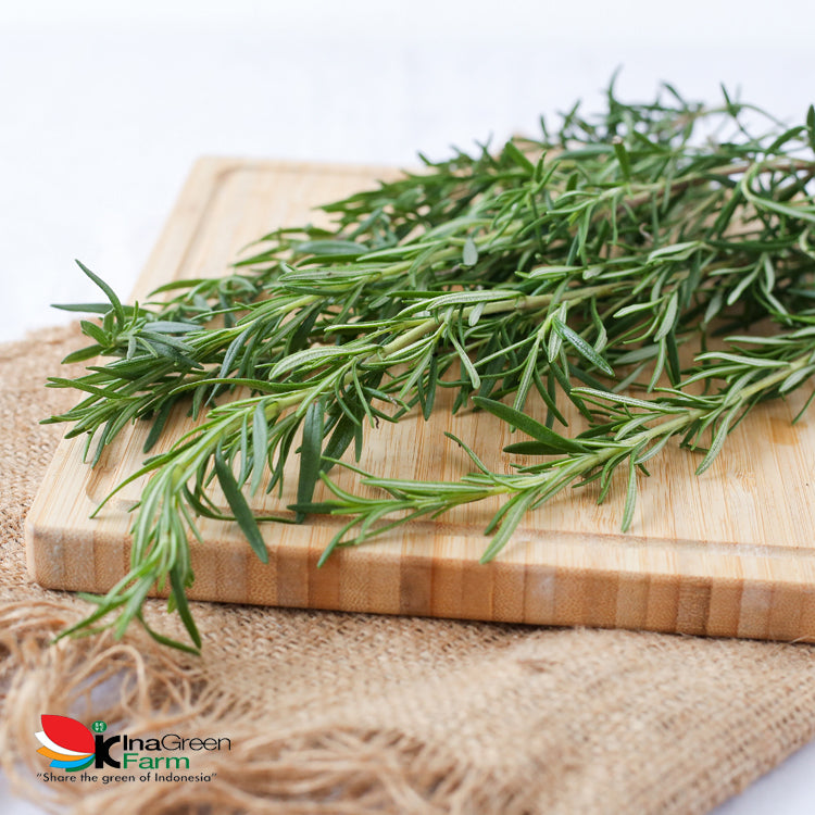Inagreen Farm Bandung Rosemary Fresh 100 Gram