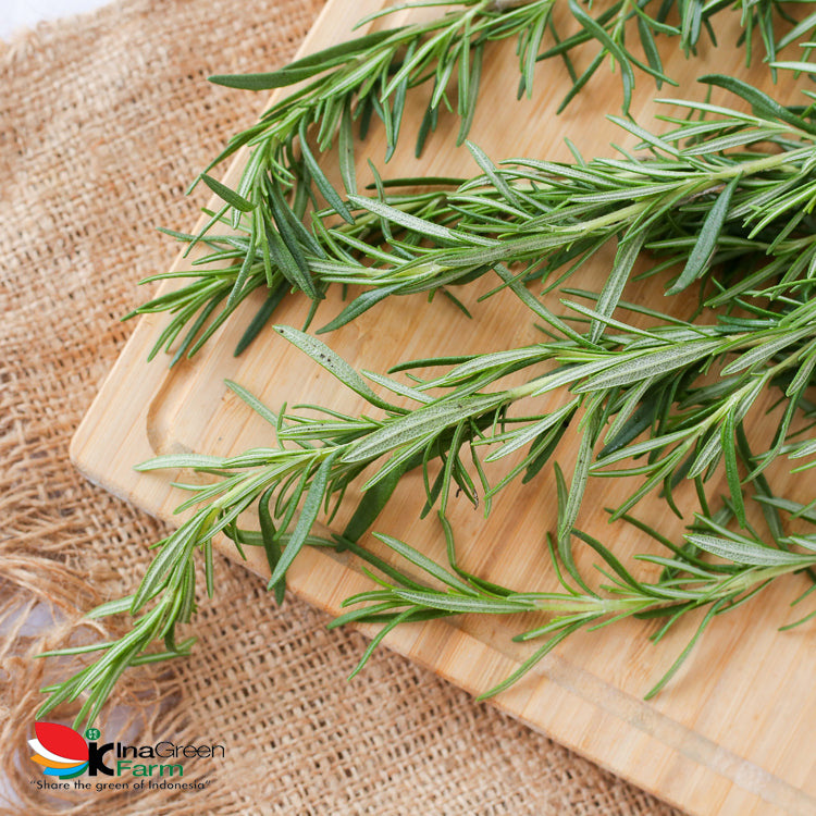 Inagreen Farm Bandung Rosemary Fresh 100 Gram