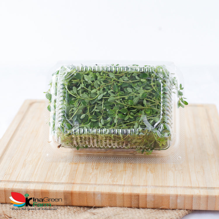 Inagreen Farm Bandung Daun Thyme Fresh 50 Gram