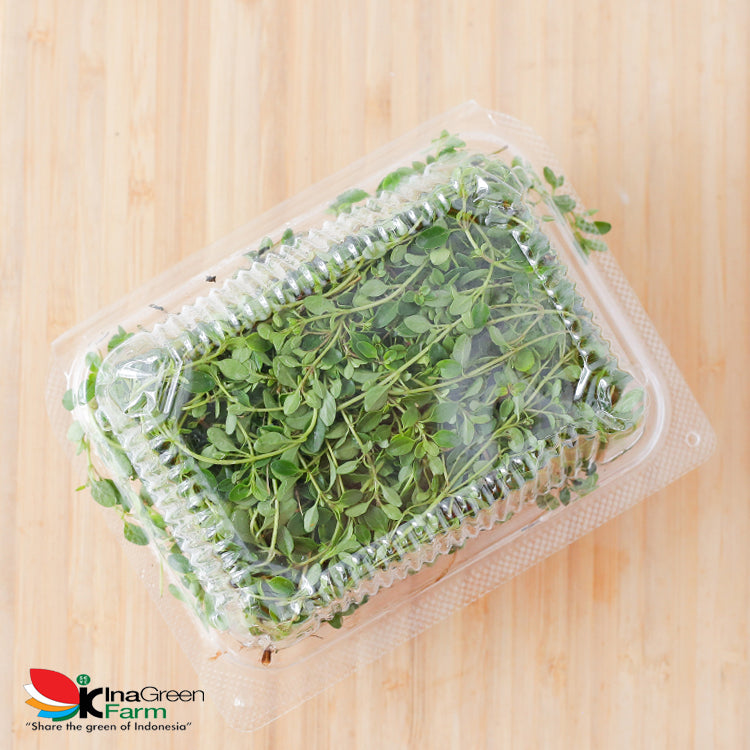 Inagreen Farm Bandung Daun Thyme Fresh 50 Gram