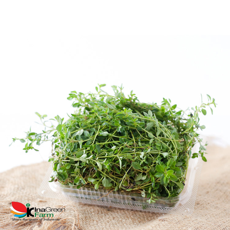 Inagreen Farm Bandung Daun Thyme Fresh 50 Gram