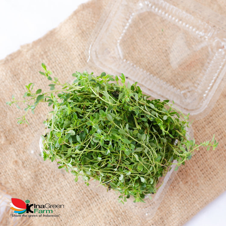 Inagreen Farm Bandung Daun Thyme Fresh 50 Gram