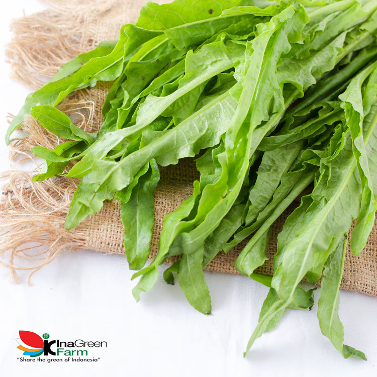 Inagreen Farm Bandung Sayur Siomak Organik 250 Gram