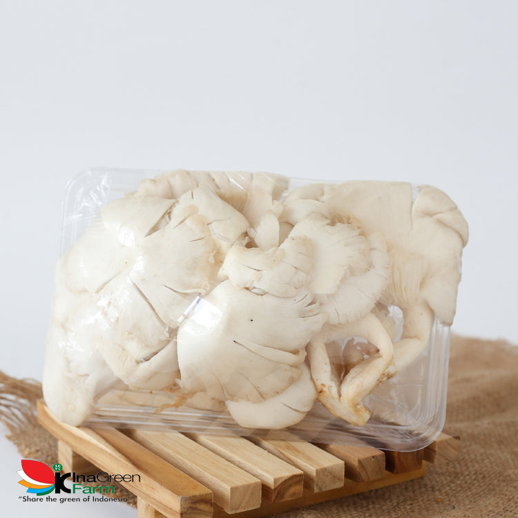 Inagreen Farm Bandung Jamur Tiram Fresh
