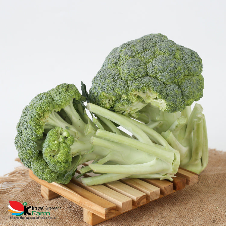 Sayur Brokoli Fresh Inagreen Farm Bandung