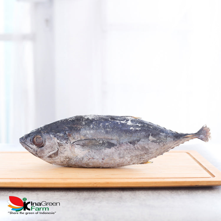 Inagreen Farm Bandung Ikan Baby Tuna Frozen