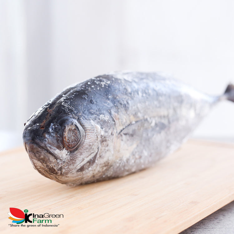 Inagreen Farm Bandung Ikan Baby Tuna Frozen