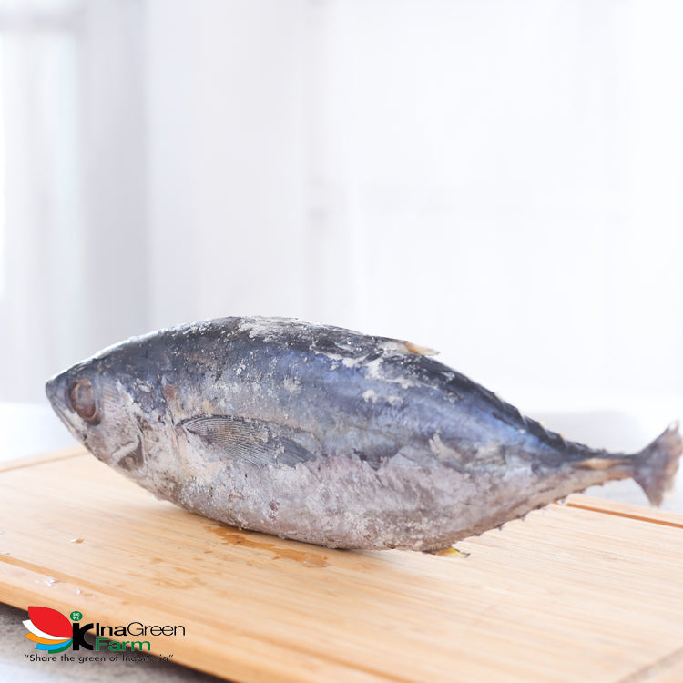 Inagreen Farm Bandung Ikan Baby Tuna Frozen