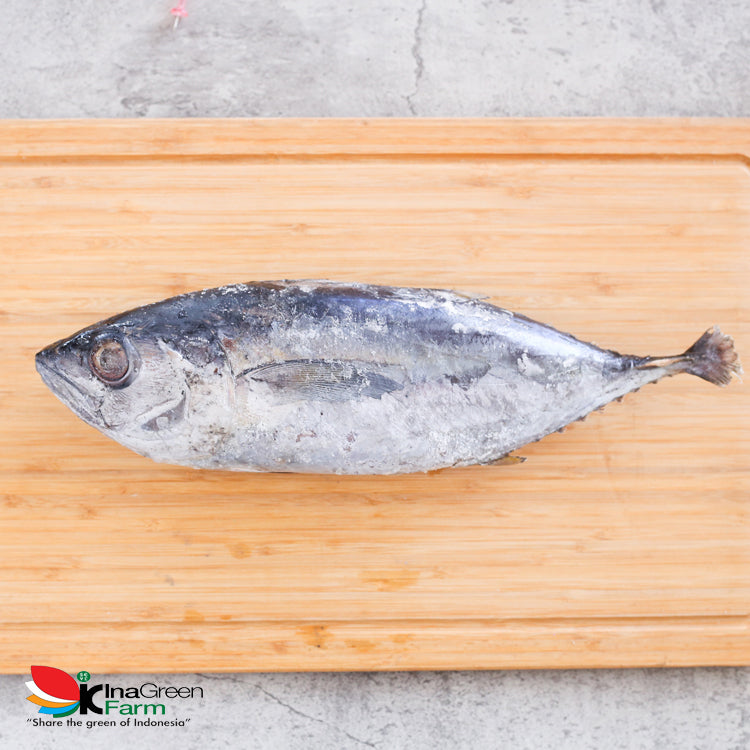 Inagreen Farm Bandung Ikan Baby Tuna Frozen