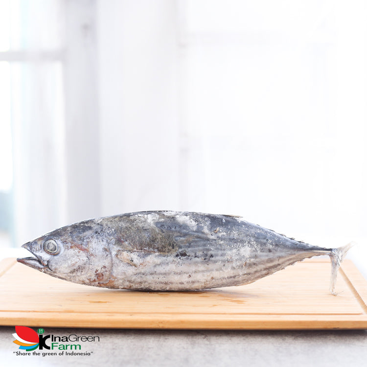 Inagreen Farm Bandung Ikan Cakalang Frozen