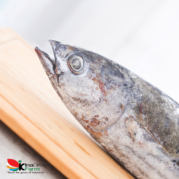 Inagreen Farm Bandung Ikan Cakalang Frozen