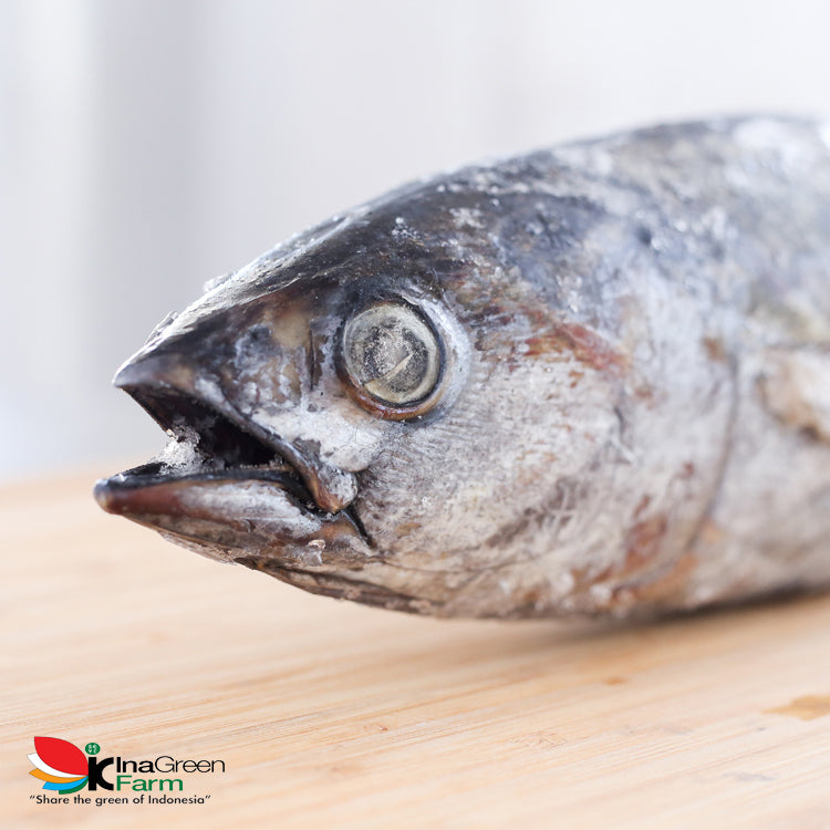 Inagreen Farm Bandung Ikan Cakalang Frozen