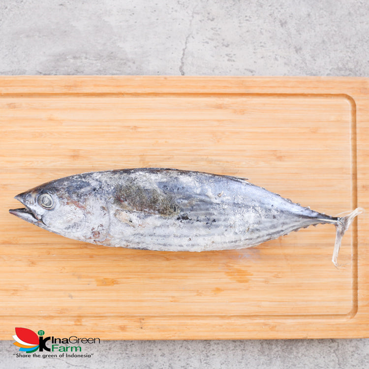 Inagreen Farm Bandung Ikan Cakalang Frozen