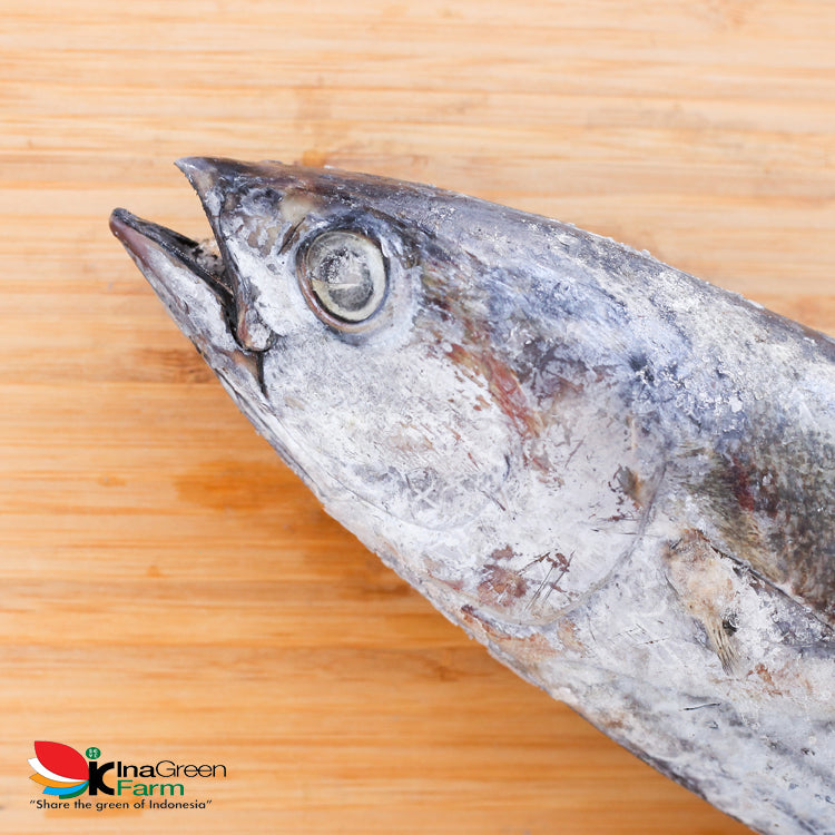 Inagreen Farm Bandung Ikan Cakalang Frozen