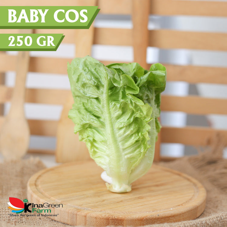 Inagreen Farm Bandung Baby Cos Organik 250 Gram